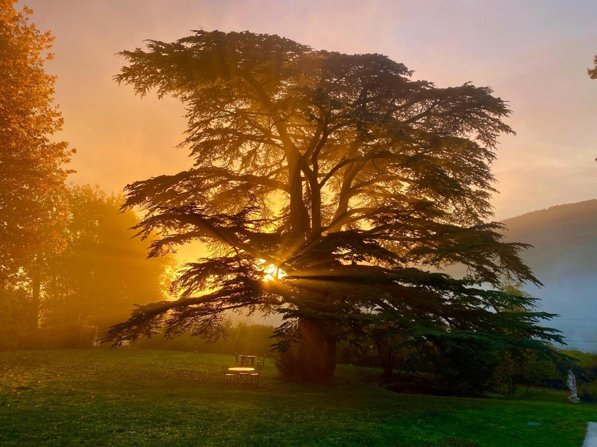 Chateau Des Janroux Juliénas Esterno foto